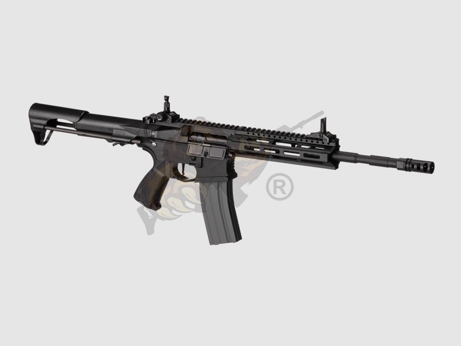 G&G CM16 Raider L 2.0E  mit ETU in Schwarz Airsoft S-AEG frei ab 18