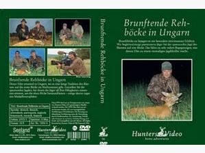 Brunftende Rehböcke in Ungarn