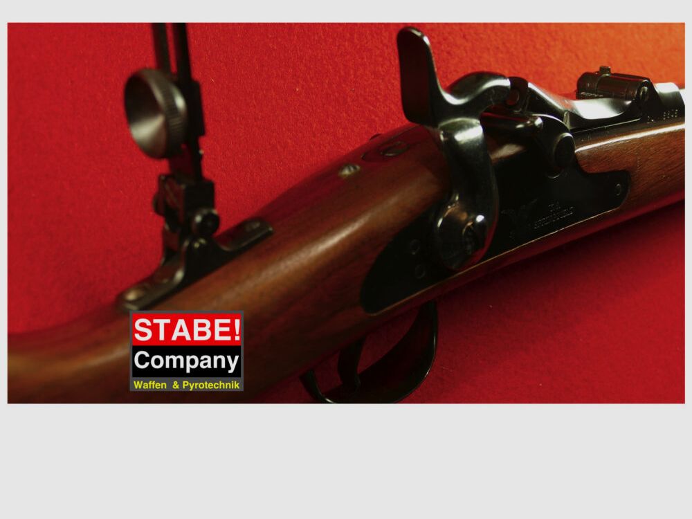 Harrington & Richardson Springfield 1873 Cavalerie, (Trapdoor)