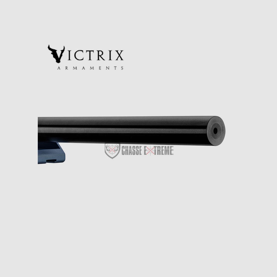 Büchse VICTRIX Scepter Small Bore 24" Kal. 22 Lr M18x1, Bild 11 von 11