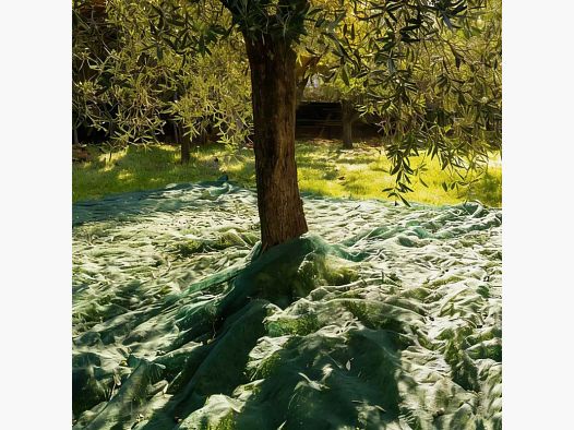 Ernte-Netz 8x8m mit feiner Maschenweite 5x5mm - Hochdichtes Polyethylen
