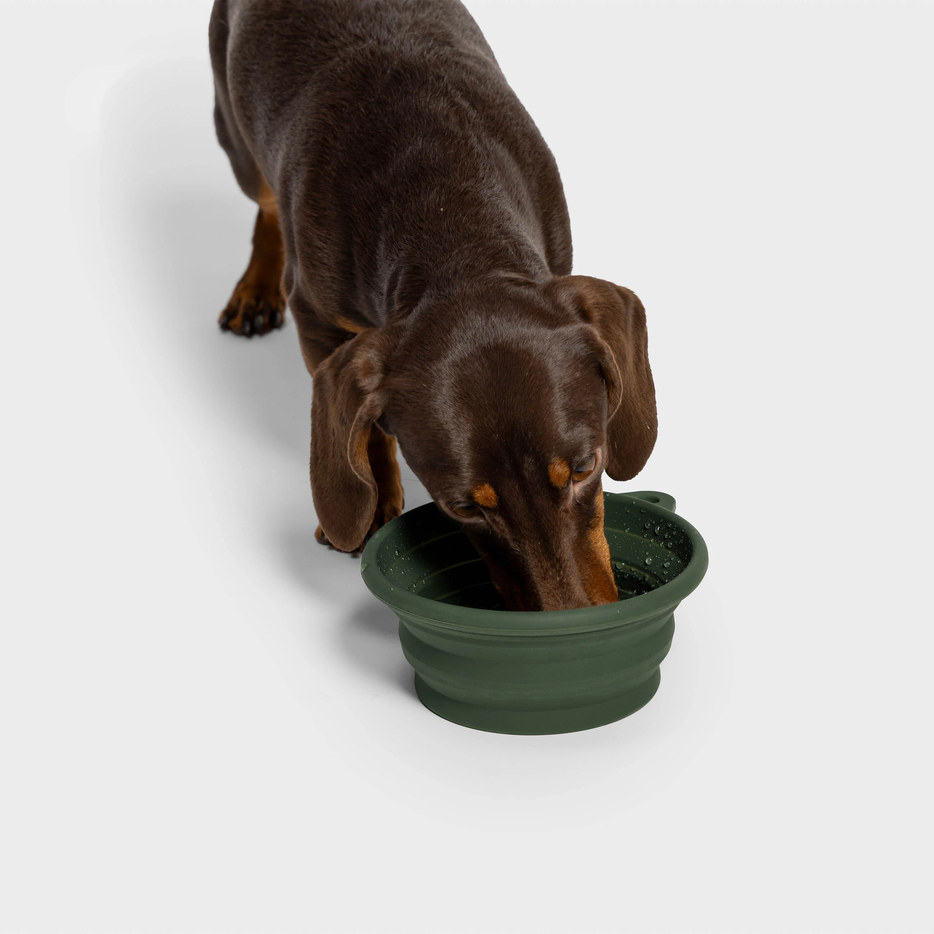 Bol de voyage pliable AKTIV Dark Olive, image 2 sur 4
