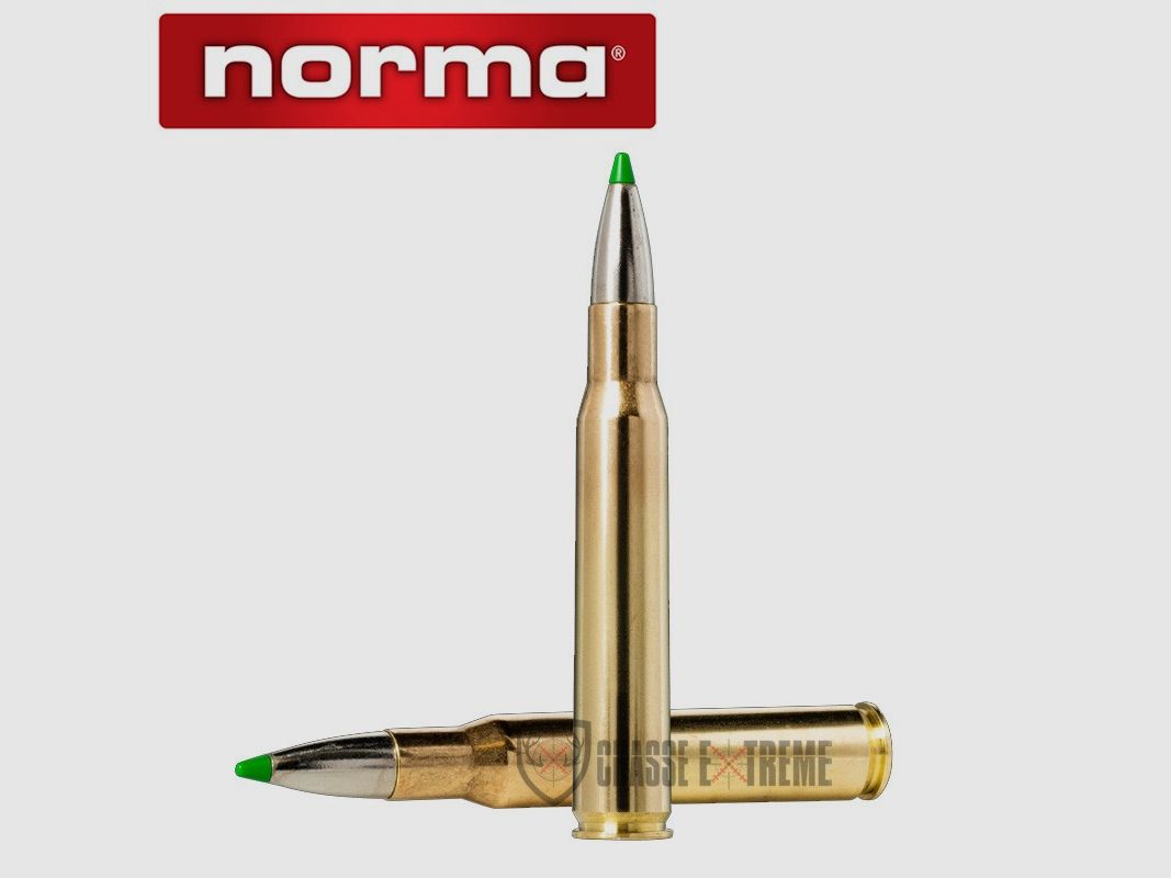 20 patronen NORMA Kal. 30-06 sprg 150 Gr Ecostrike