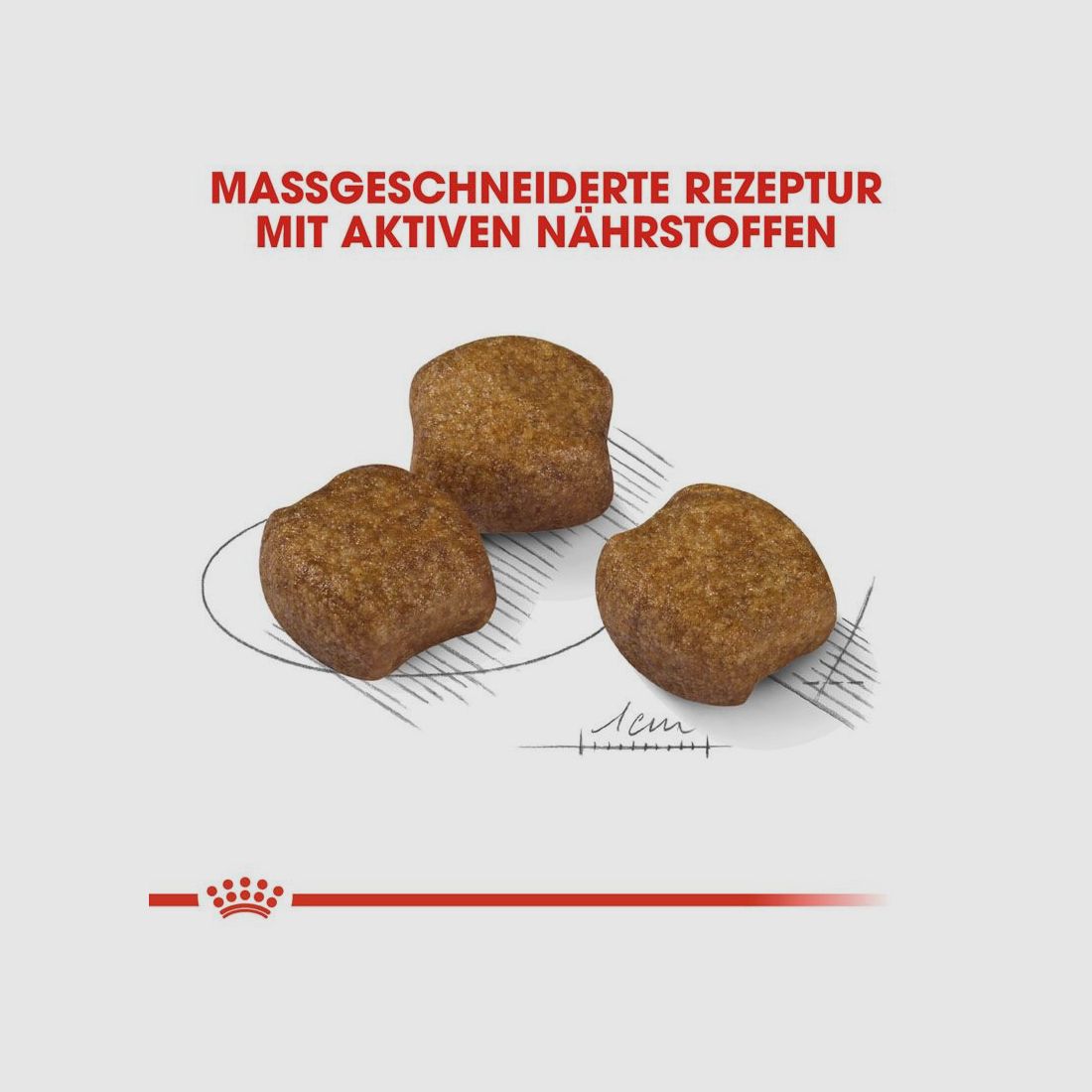 ROYAL CANIN Mittelgroße Hunde Trockenfutter Dental Care Medium für empfindliche Zähne 10 Kg