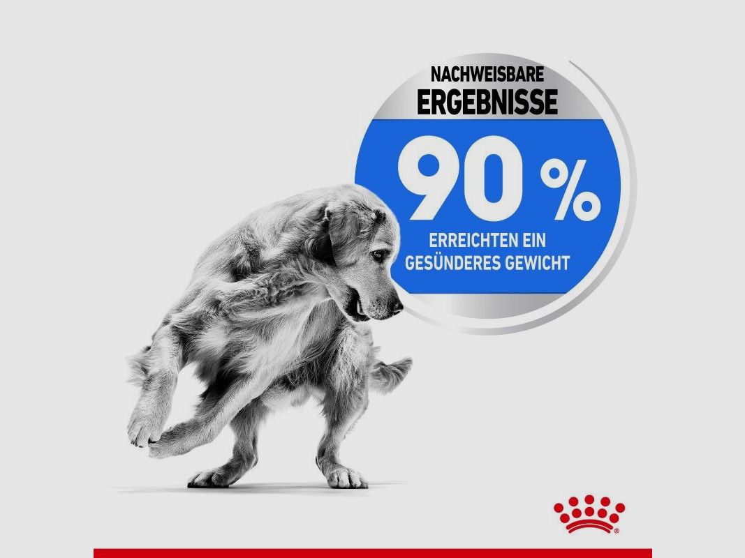 ROYAL CANIN Trockenfutter Light Weight Care Maxi für zu Übergewicht neigenden Hunden
