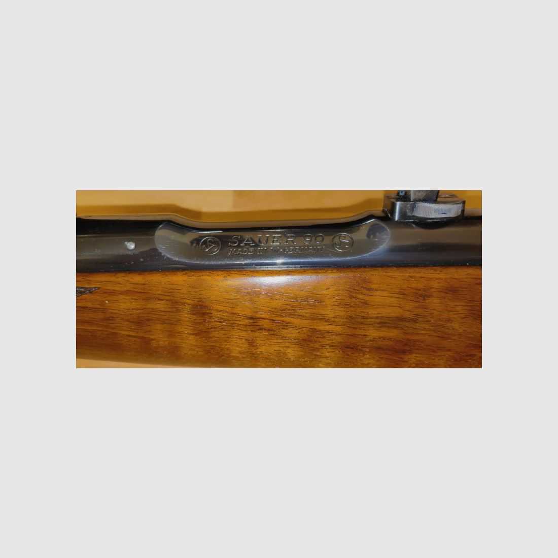 Sauer 90 - Calibre 9,3x62