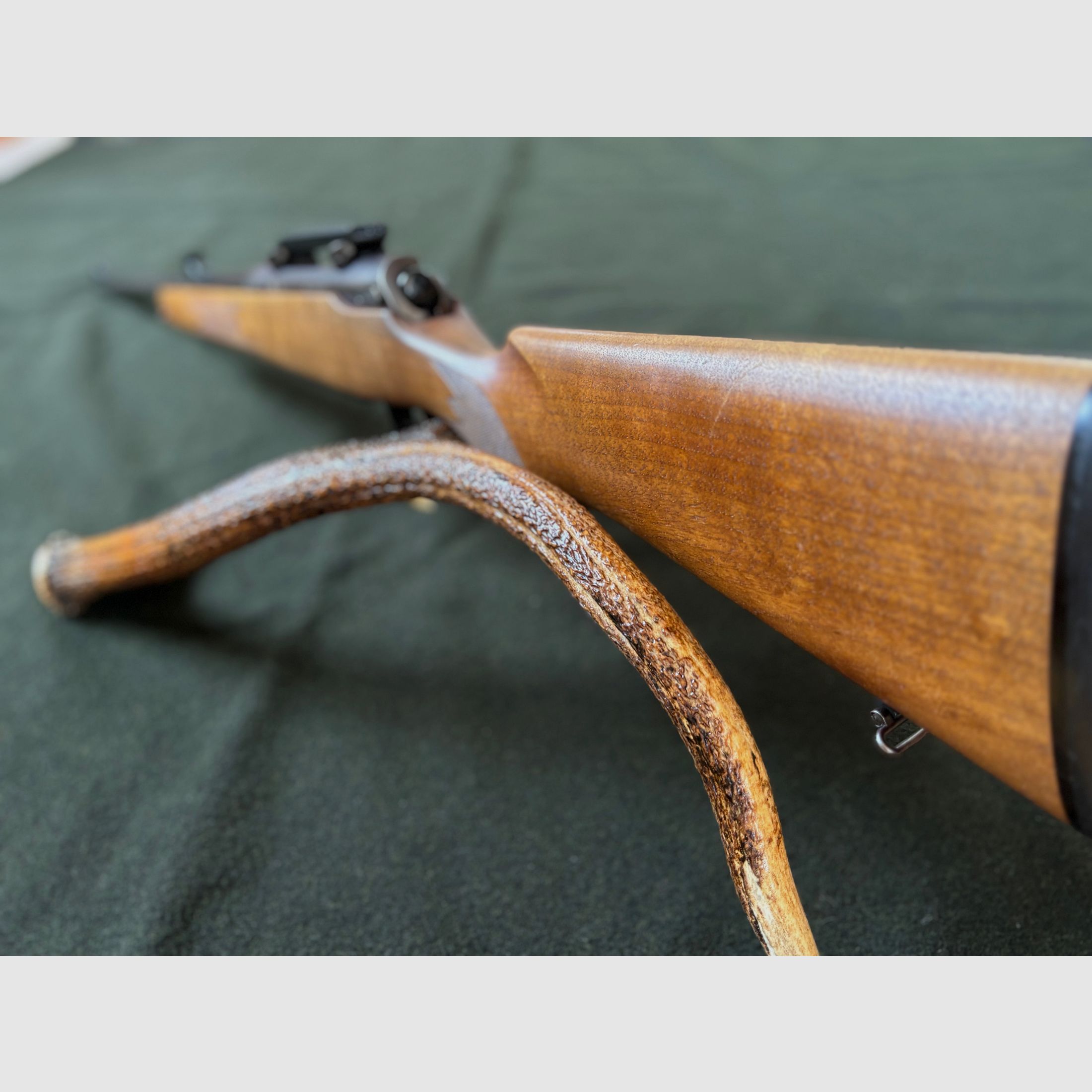 SIG 98 in .30-06 / ähnlich Sauer 202