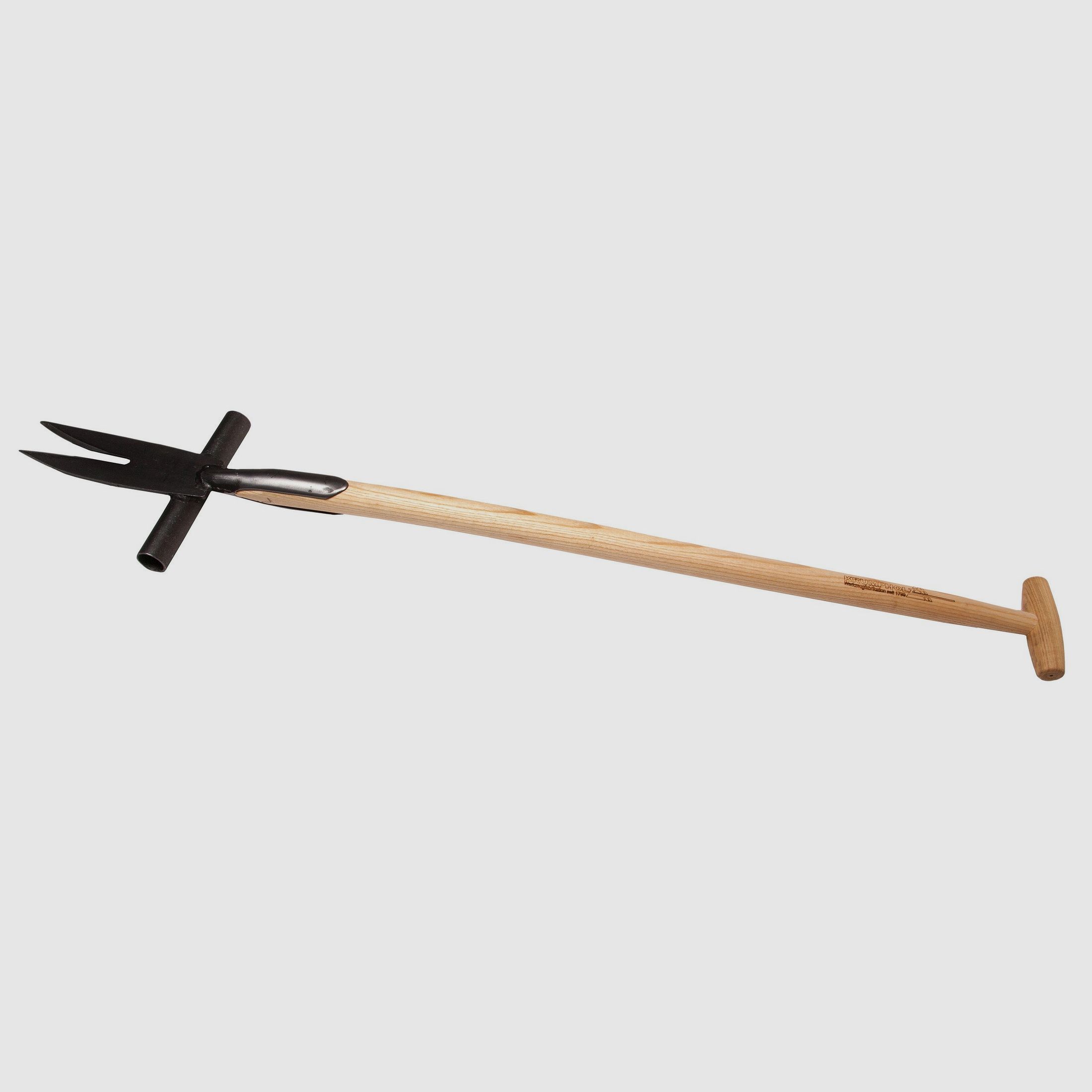 Krumpholz Ampferstecher