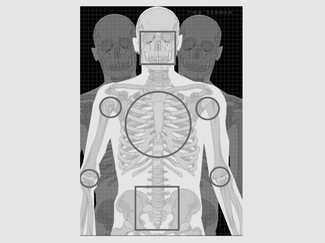 Silhouette cible TWS CERBER 3 SQUELETTE, 10 pièces.