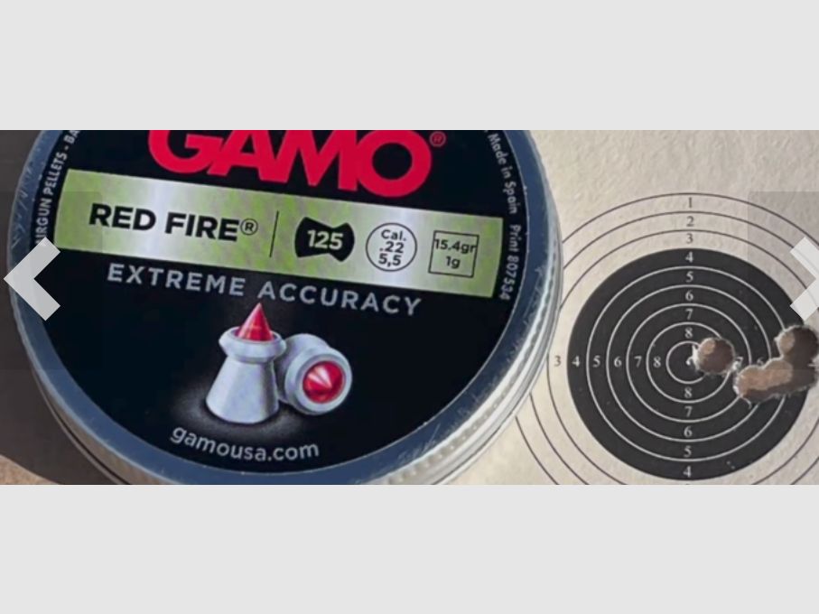 GAMO SWARM MAGNUM REP. 45 Joule Neu! 
