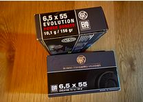 Munitions de RWS EVO 6,5 x 55