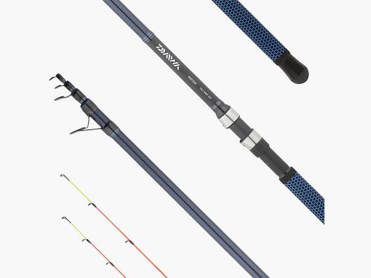 DAIWA – 25 PROTEUS TELE BOAT 4m | 5 + 2 Tips | 134cm | 150-300g