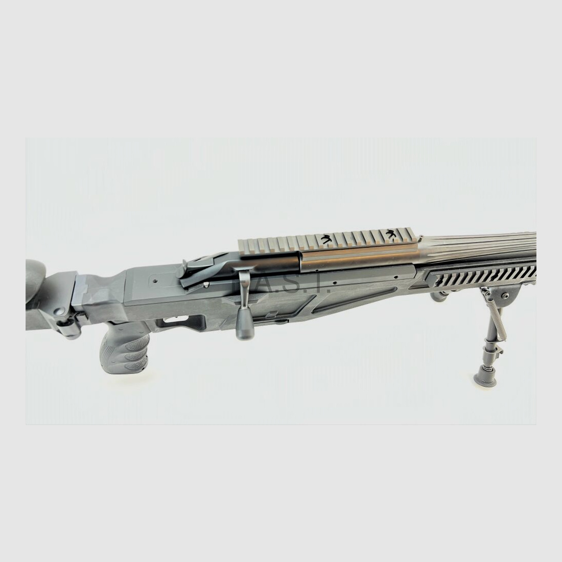 Blaser	 Blaser R93 Tactical 2
