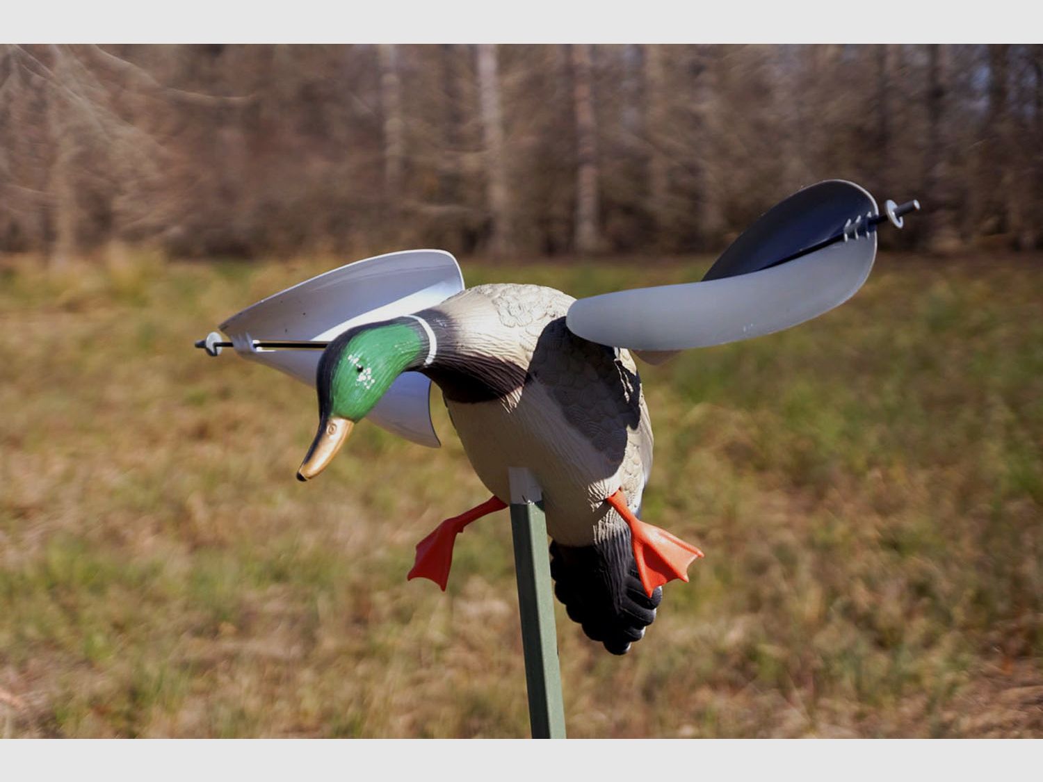 MOJO Wind Eend (Wind-Ente)