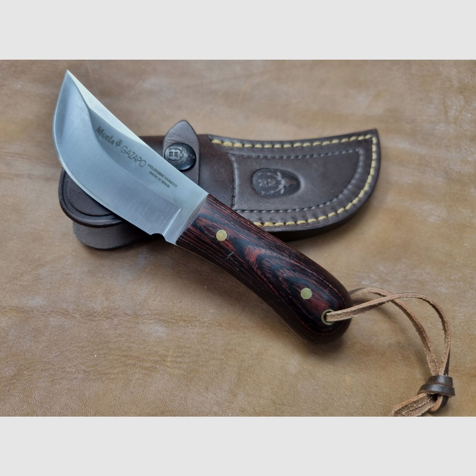 Cuchillo Muela Gazapo-8R Cuchillo de Caza Skinner con Funda de Cuero de Alta Calidad