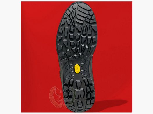 Scarponi SCARPA Terra GTX