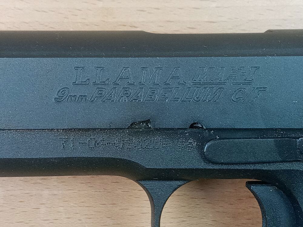 Llama, Spanien Max-I, Bild 3 von 7