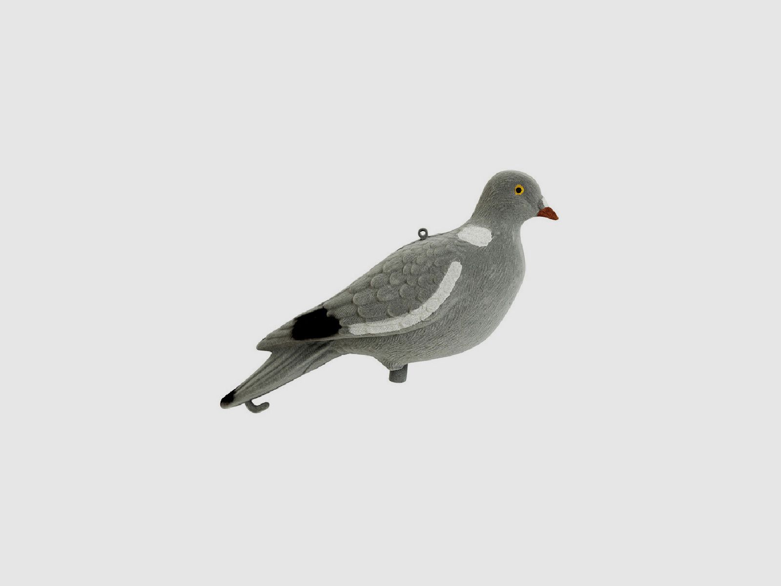 Stepland Pigeon Flocked
