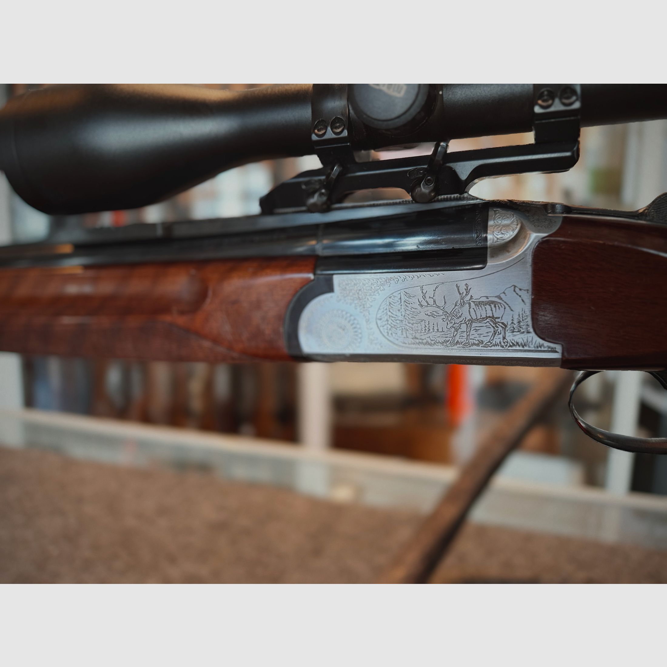 Sabatti BBF – 12/70 y 8x57 IRS – con cañón intercambiable 5,6x52R – Meopta Meostar R1 3-12x56 