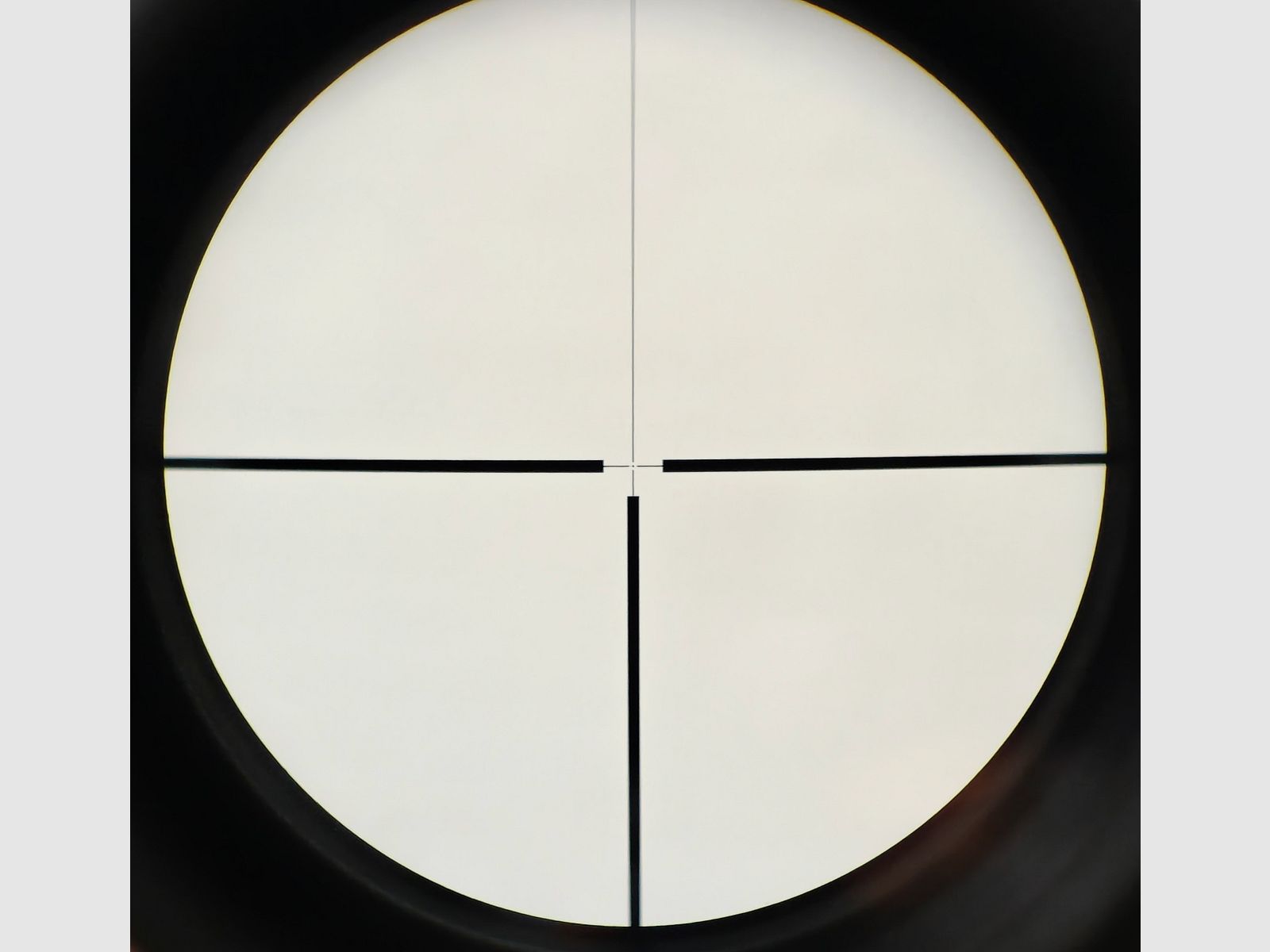 Sauer & Sohn 54 .30R Blaser mit Swarovski Glas