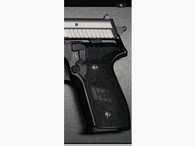 P229 Sig Sauer 