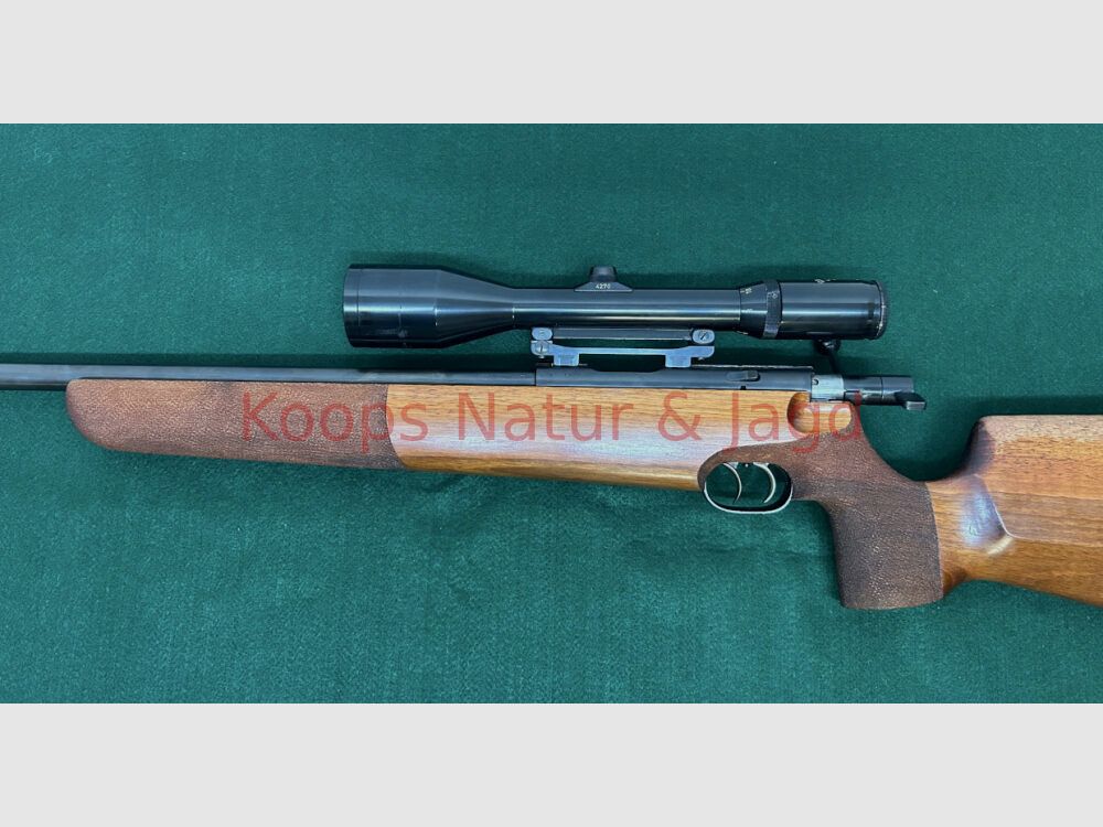 Walther KJS