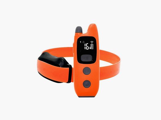 Verney Carron 600 m Trainingshalsband
