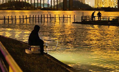 The Spinning Rod - A Comprehensive Guide for Passionate Anglers