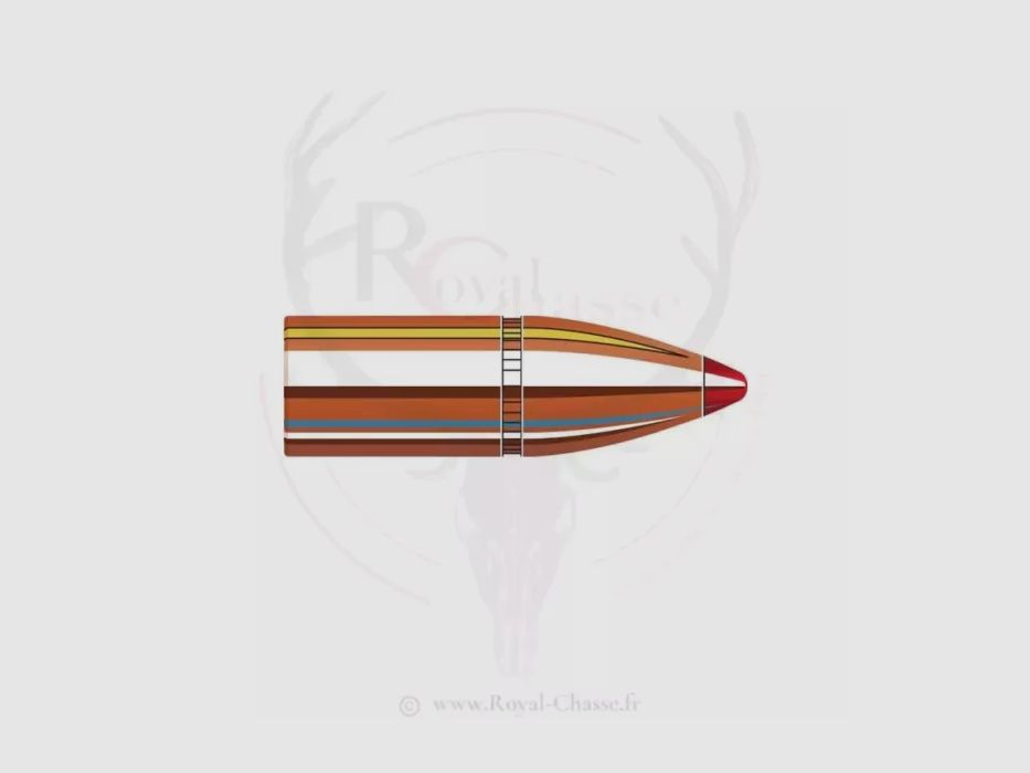 100 kogels Kal.32 D.321 165Grs FTX HORNADY