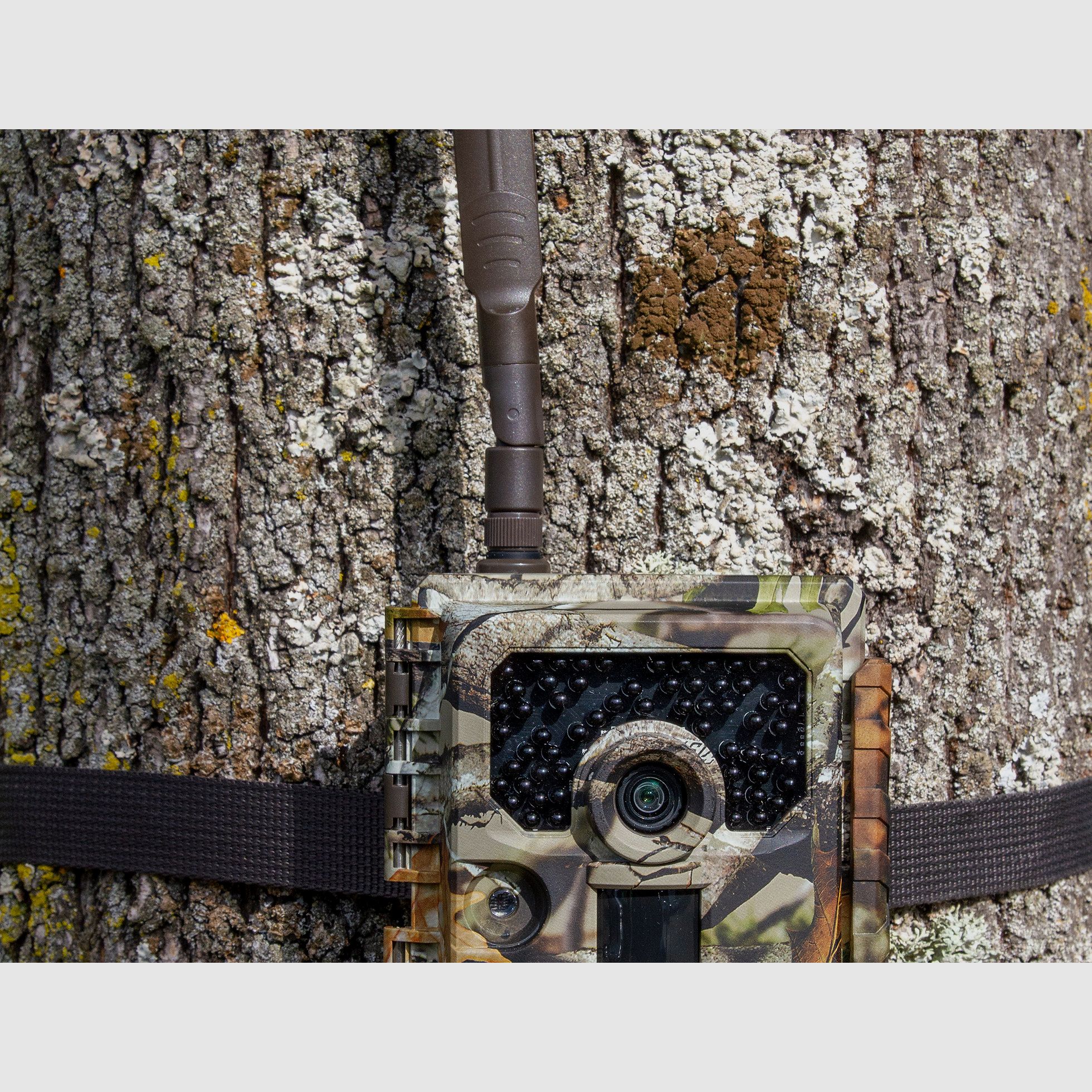 MINOX DTC 1200 Wildkamera