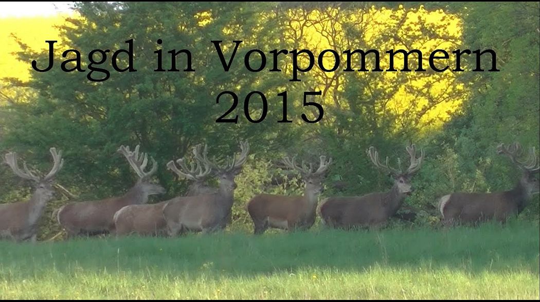 Jagd in Vorpommern 2015