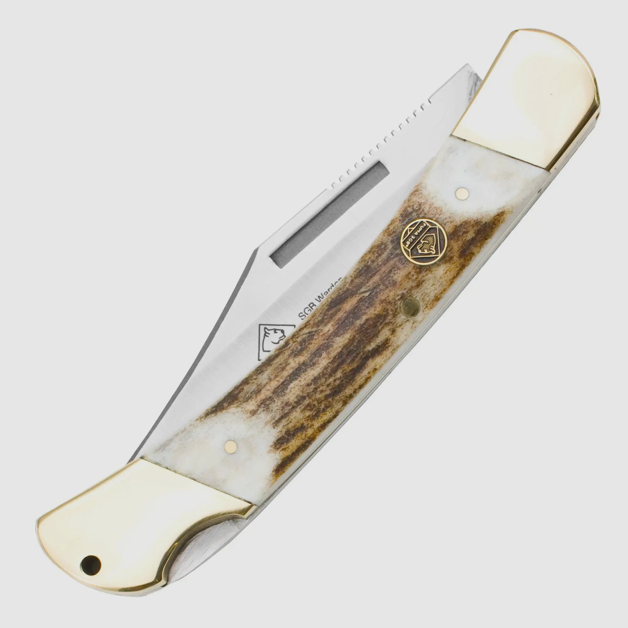 PUMA SGB Warden, Hirschhorn