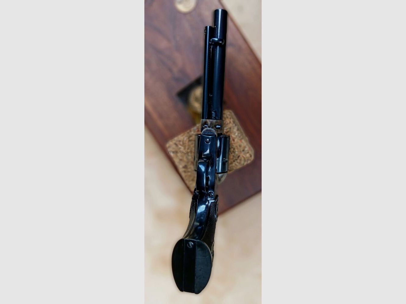 Colt SAA 5,5 pollici