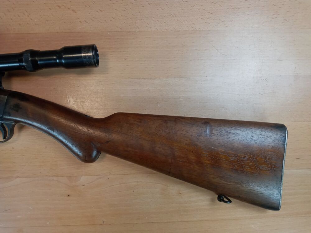 FN Browning Auto 22