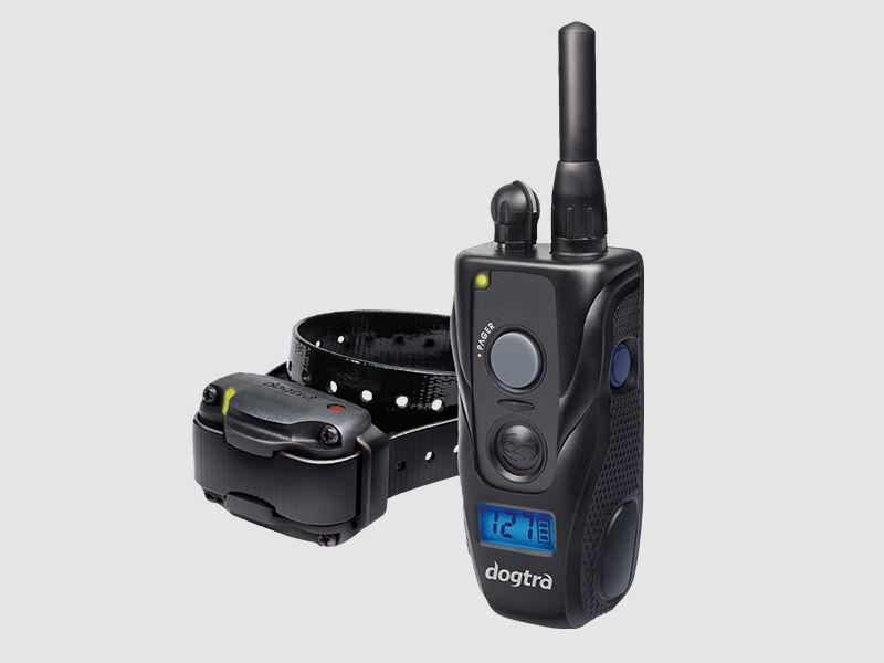 DOGTRA 640C Trainingshalsband