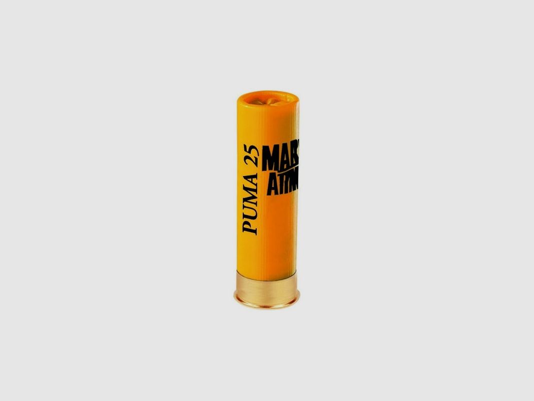 Box of 25 Cartridges Mary Arm Puma 25 Caliber 20 - 25GR - PB 7.5, image 2 of 2