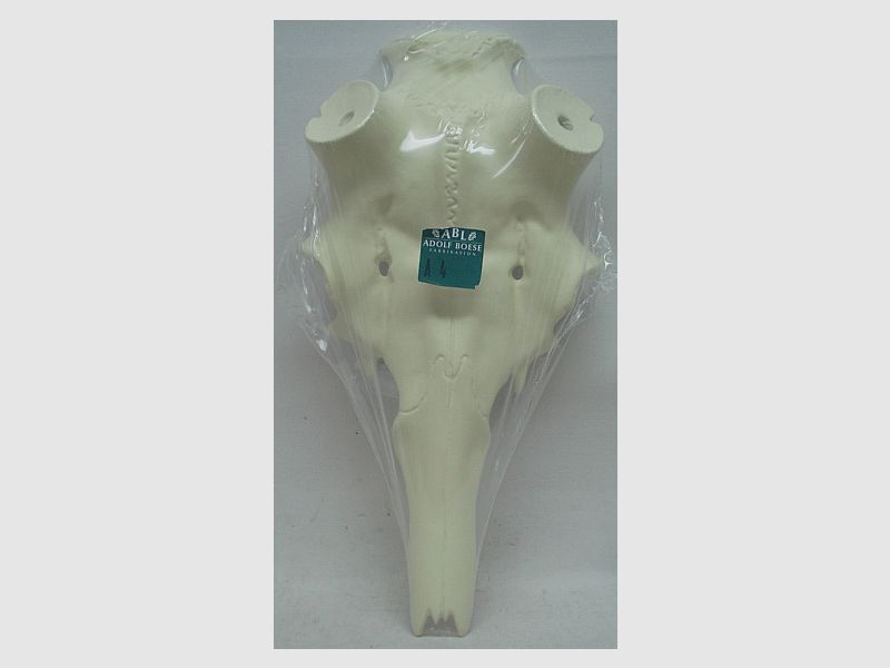 Rothirschschädel A10 70mm -