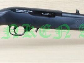 Ruger	 10/22 Air Rifle
