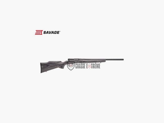 Carabine SAVAGE B.MAG Beavertail 22" cal 17 Wsm