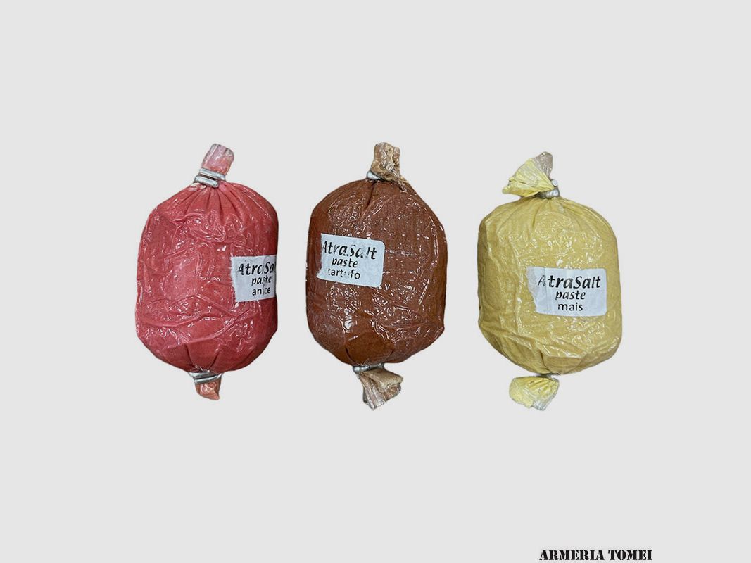 ATRASALT – ATTRAKTIV IN PASTE FÜR HUFTRÄGER 170g