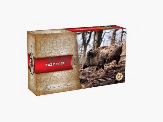 Norma 308 win PPDC 180 Gr
