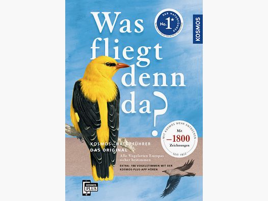 Kosmos Was fliegt denn da? Barthel