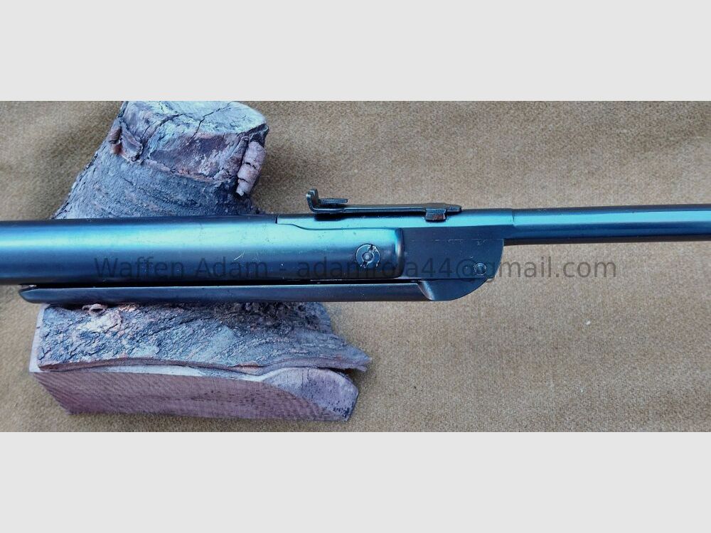 Diana Veterani LG, 30 anni Mod. 27