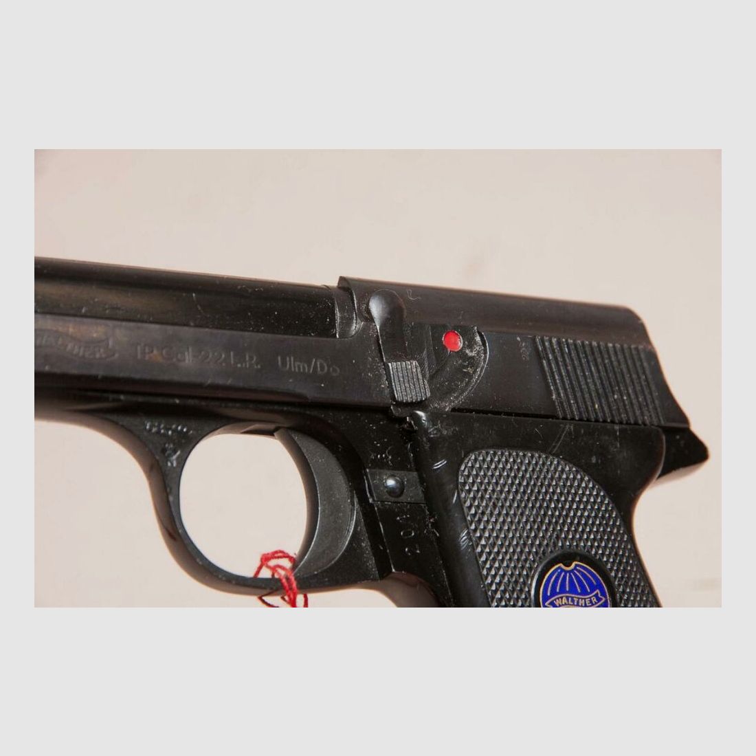 Walther TP caccia al cinghiale caccia alla costruzione caccia con trappole, immagine 3 di 4