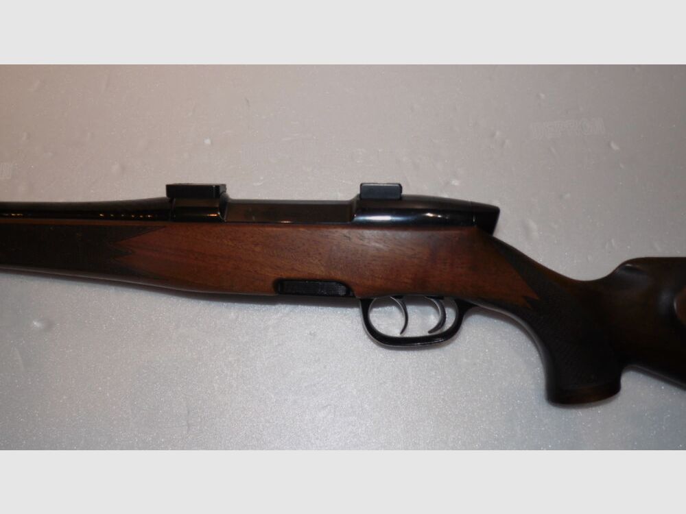 Steyr Mod. M
