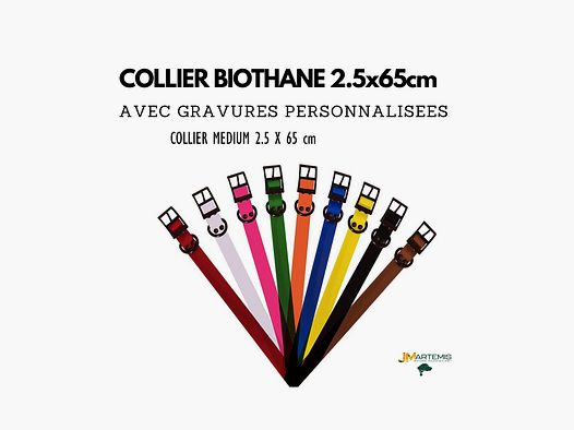 Collar US Biothane 2,5x65cm + Grabado 1 Línea