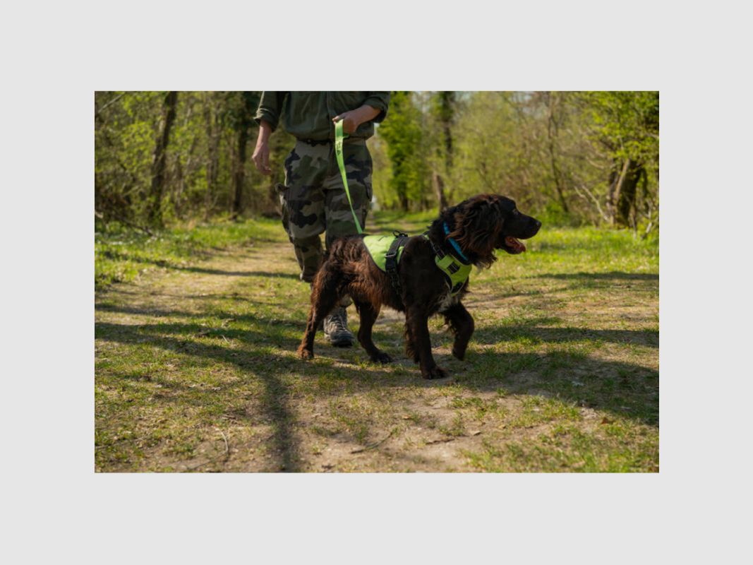 WILD TRACKER X-COLOR-harnas, afbeelding 2 van 2