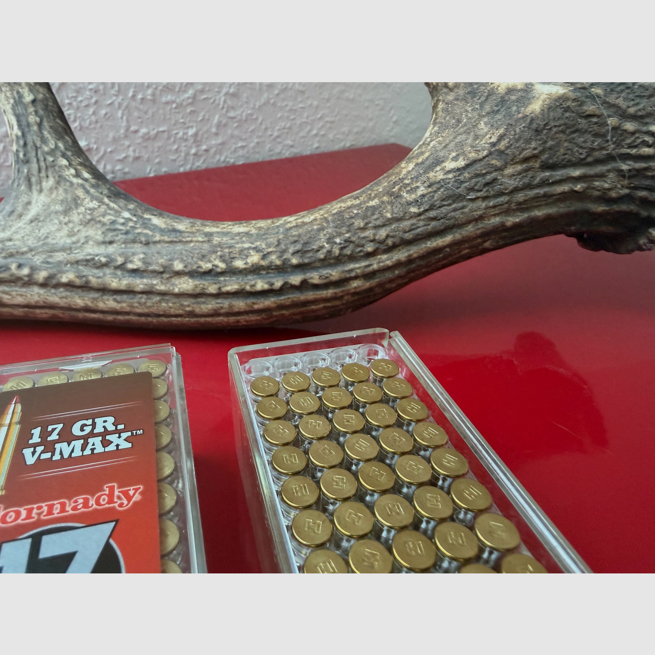 235 Schuss .17 HMR (Hornady & CCI) 17GR VMAX