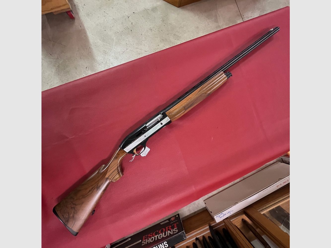 Benelli Montefeltro, immagine 1 di 12