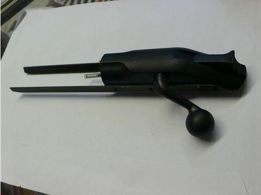 Blaser R8